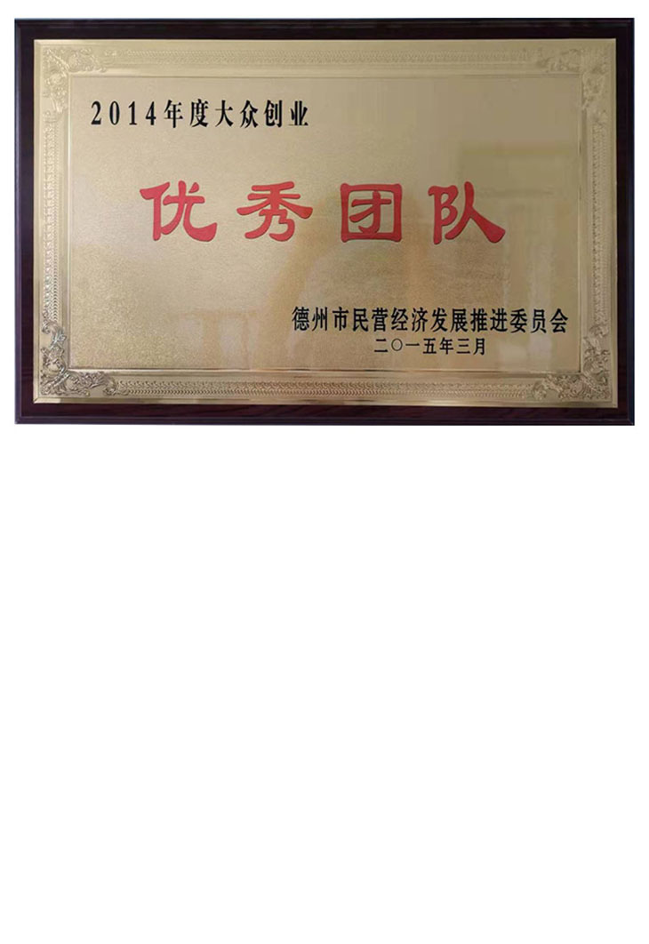 大眾創業優秀團隊