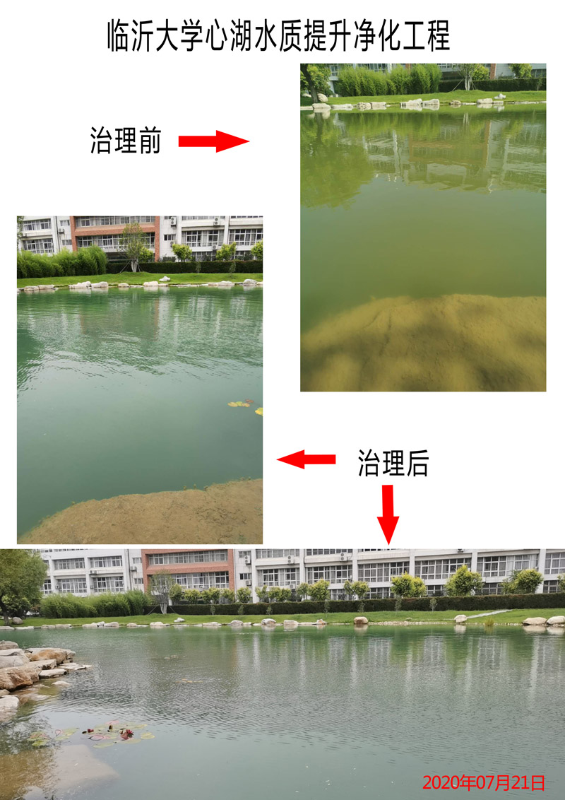 臨沂大學心湖水質提升凈化工程
